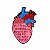 Kit Presente Chaveiro Broche Cardiologia Medicina - Imagem 2