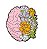 Broche Pin Botton Cérebro Neurologia - Imagem 3