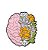 Broche Pin Botton Cérebro Neurologia - Imagem 4