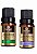 Kit Óleo Essencial Alecrim e Lavanda 10ml (cada) - Imagem 1