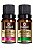 Kit Óleo Essencial Alecrim e Ylang Ylang 10ml (cada) - Imagem 1