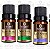 Kit Óleo Essencial Lavanda, Alecrim e Ylang Ylang 10ml (cada) - Imagem 1