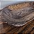 Gamela Rústica em Madeira Maciça do Século XIX, MG - (15x60x144 cm) - Imagem 5