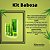 Kit Capilar Babosa 100% Vegetal Rhenuks 4 Itens - Imagem 4