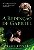 A Redenção de Gabriel - Volume 3 - Sylvain Reynard - Imagem 1