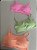 Top Nick - Imagem 3