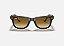 Wayfarer - Imagem 1