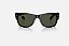 Mega Wayfarer - Imagem 1