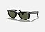 Wayfarer - Imagem 2