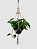 Suporte de plantas Lys - Imagem 4