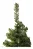 Árvore De Natal Luxo Ipanema 1,80m Com 720 Hastes - Decoração - Imagem 4