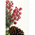 Galhos Decorativos Medio Vermelho 38cm - Unid - Imagem 2