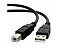 CABO USB 2.0  IMPRESSORA A MACHO X B MACHO 10 MT. - Imagem 1