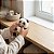 Squishy Panda Fofo - Imagem 4