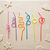 Kit Canudos Espiral - Imagem 3