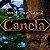 Óleo Essencial de Canela Delphiké - 10ml  (100% Puro e Natural) - Imagem 2
