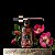 Kit Rejuvenescimento Delphiké - 2x OES Delphiké (Olibano - Gerânio) + Sérum de Rosa Mosqueta - Imagem 2