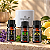 Kit com 3 Óleos Essenciais + Aromatizador Elétrico Original - Delphiké - Imagem 1