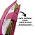 Bíblia Sagrada Letra Grande Índice Lateral Botão e Caneta Capa Pink - Imagem 4