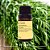 Óleo Essencial Alecrim 100% Puro 10ml - By Samia - Imagem 4