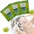 100 Shampoo 2 em 1 Erva Doce Sachê 30ml Hotel Motel Pousada - Imagem 3