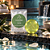 Kit 50 Sabonete Glicerina Olive 20g Redondo Hotel Motel SPA - Imagem 4