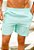 Shorts Viscolinho Verde Tiffany - Imagem 1