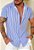 Camisa Listrada Azul - Imagem 2