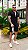 Conjunto Plissado Preto - Imagem 5