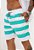 Shorts Tactel Listrado - Imagem 1