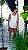 Max Regata Off White - Imagem 11
