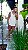 Max Regata Off White - Imagem 10