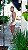 Max Regata Off White - Imagem 9
