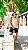 Regata Milano Bege - Imagem 10