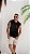 Shorts Alfaiataria Linho Areia - Imagem 13