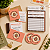 Kit Papelaria Especial | Essencial - Imagem 1