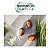 Nutricurls - Shampoo 250ml - Imagem 3