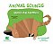 Animal sounds - Brazilian Animals - Imagem 1