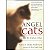 Angel Cats - Anjos de muitas vidas - Imagem 1