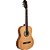 VIOLAO CLASSICO NYLON TAGIMA PARATY NTS - Imagem 2
