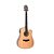 VIOLAO FOLK CRAFTER HD-800CE ACO NAT GLOSS - Imagem 2