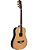 VIOLAO TRAVEL TAGIMA FERNIE EQ  ACO NAT - Imagem 3