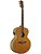 VIOLAO JUMBO TAGIMA FS650 EQ ACO NAT FOSCO - Imagem 2