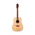 VIOLAO FOLK GIANNINI *FK1GOALEQNS* - Imagem 2