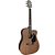 VIOLAO FOLK GIANNINI GF-1D CEQ WS - Imagem 1