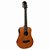 VIOLAO TRAVEL GIANNINI GTG-36S EQ ACO WS - Imagem 2