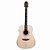 VIOLAO FOLK GIANNINI ARIZONA DG1LRPTEQNS C/BAG - Imagem 3