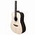 VIOLAO FOLK GIANNINI ARIZONA DG1LRPTEQNS C/BAG - Imagem 9