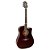 VIOLAO FOLK GIANNINI GF-1D CEQ TDW - Imagem 2