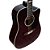 VIOLAO FOLK GIANNINI GF-1D CEQ TDW - Imagem 6